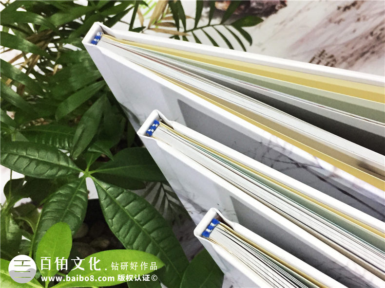 高中畢業(yè)季紀(jì)念手冊(cè)-同學(xué)錄相冊(cè)書(shū)設(shè)計(jì)配文字模板-成都實(shí)驗(yàn)外國(guó)語(yǔ)