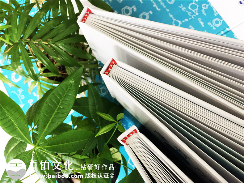 百鉑紀(jì)念冊(cè)原創(chuàng)文案樸實(shí)動(dòng)人的畢業(yè)紀(jì)念冊(cè)前言、序言開(kāi)篇語(yǔ)文字一篇第2張-宣傳畫(huà)冊(cè),紀(jì)念冊(cè)設(shè)計(jì)制作-價(jià)格費(fèi)用,文案模板,印刷裝訂,尺寸大小