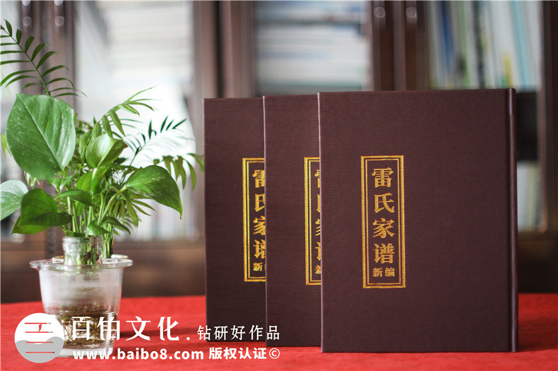 家譜設計與制作-圖文并茂設計文化俱全第1張-宣傳畫冊,紀念冊設計制作-價格費用,文案模板,印刷裝訂,尺寸大小