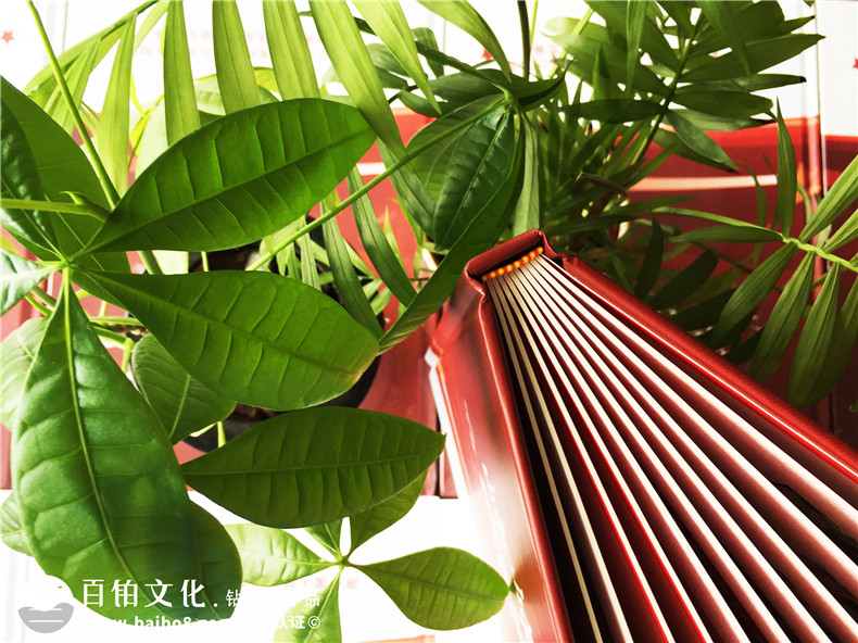 二十年戰(zhàn)友聚會紀(jì)念冊應(yīng)該如何設(shè)計第2張-宣傳畫冊,紀(jì)念冊設(shè)計制作-價格費用,文案模板,印刷裝訂,尺寸大小
