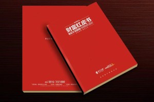 真正高端的房地產企業(yè)宣傳畫冊設計 擺脫創(chuàng)意文案 廣告照樣牛逼！