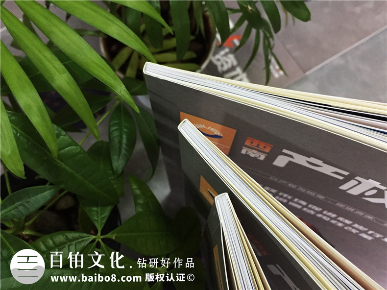 畫(huà)冊(cè)設(shè)計(jì)的理念分析 一個(gè)企業(yè)需要的專(zhuān)業(yè)畫(huà)冊(cè)設(shè)計(jì)方法！第2張-宣傳畫(huà)冊(cè),紀(jì)念冊(cè)設(shè)計(jì)制作-價(jià)格費(fèi)用,文案模板,印刷裝訂,尺寸大小