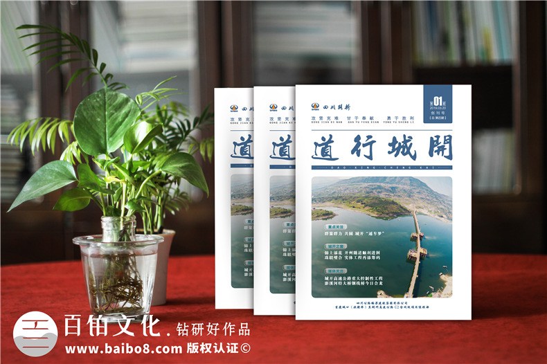 企業(yè)重大標(biāo)書制作-投標(biāo)項目正規(guī)標(biāo)書設(shè)計經(jīng)驗