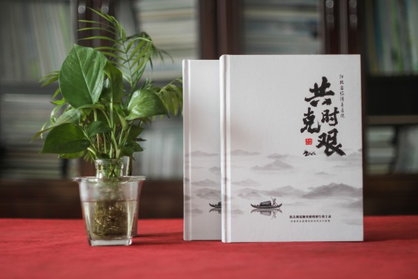 抗擊疫情畫(huà)冊(cè)影集設(shè)計(jì)公司-疫情制作宣傳冊(cè)-抗疫紀(jì)念專(zhuān)輯怎樣設(shè)計(jì)