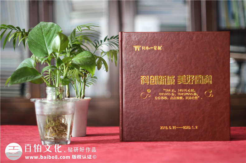 城市發(fā)展回顧紀(jì)念冊(cè)-記錄高新區(qū)開(kāi)發(fā)建設(shè)的畫(huà)冊(cè)影集