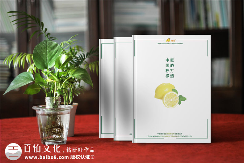 企業(yè)畫(huà)冊(cè)設(shè)計(jì)要注意什么 畫(huà)冊(cè)設(shè)計(jì)技巧篇二