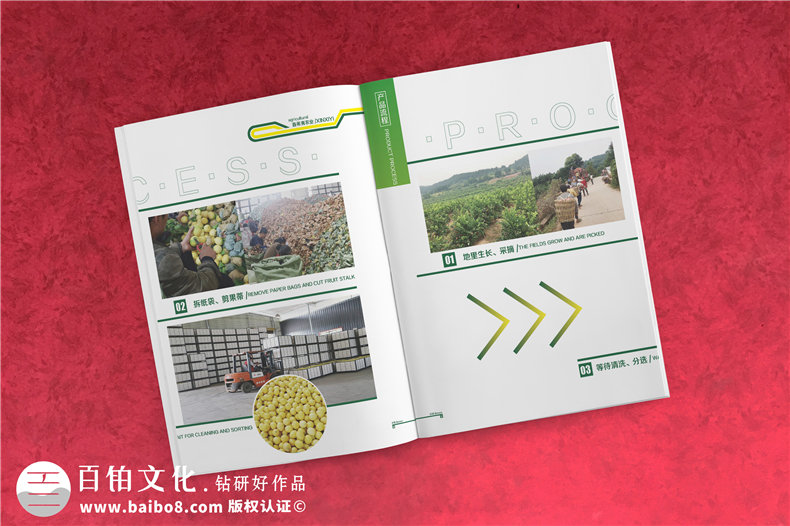 水果店鋪宣傳冊(cè)設(shè)計(jì)的必備技巧 讓水果說話的制作方法