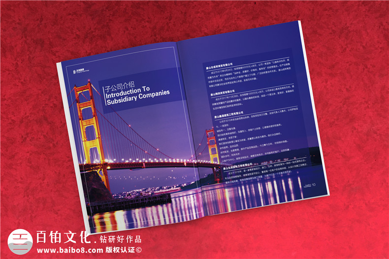 畫冊設(shè)計小技巧 畫冊設(shè)計風(fēng)格的理念分享！第3張-宣傳畫冊,紀(jì)念冊設(shè)計制作-價格費(fèi)用,文案模板,印刷裝訂,尺寸大小