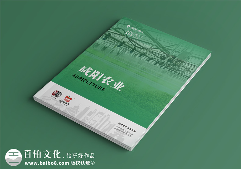 畫冊印制服務-印前的畫冊排版與校對第1張-宣傳畫冊,紀念冊設計制作-價格費用,文案模板,印刷裝訂,尺寸大小