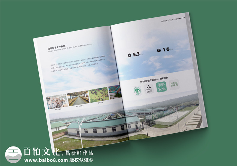 畫冊印制服務-印前的畫冊排版與校對第3張-宣傳畫冊,紀念冊設計制作-價格費用,文案模板,印刷裝訂,尺寸大小