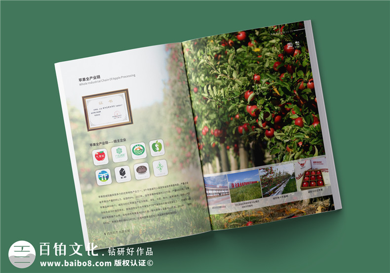 畫冊創(chuàng)意設(shè)計-深刻的畫冊設(shè)計經(jīng)驗(yàn)分享【上篇】第2張-宣傳畫冊,紀(jì)念冊設(shè)計制作-價格費(fèi)用,文案模板,印刷裝訂,尺寸大小