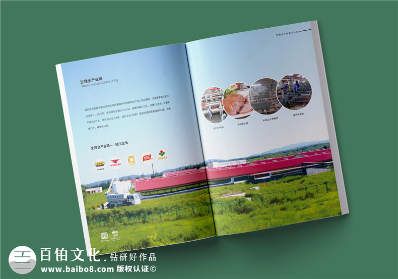 企業(yè)品牌畫冊怎么做-專人專事完成設(shè)計(jì)任務(wù)第2張-宣傳畫冊,紀(jì)念冊設(shè)計(jì)制作-價(jià)格費(fèi)用,文案模板,印刷裝訂,尺寸大小