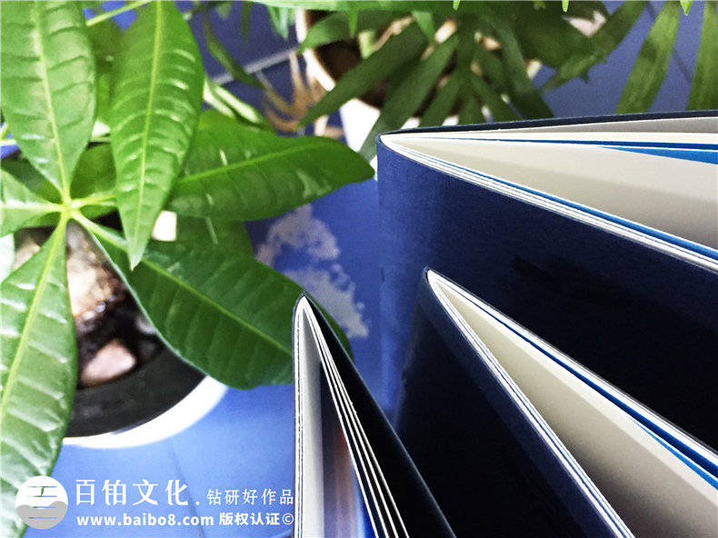 水生產(chǎn)與電力供應公司畫冊設計 電力業(yè)、供水公司的畫冊制作方法！