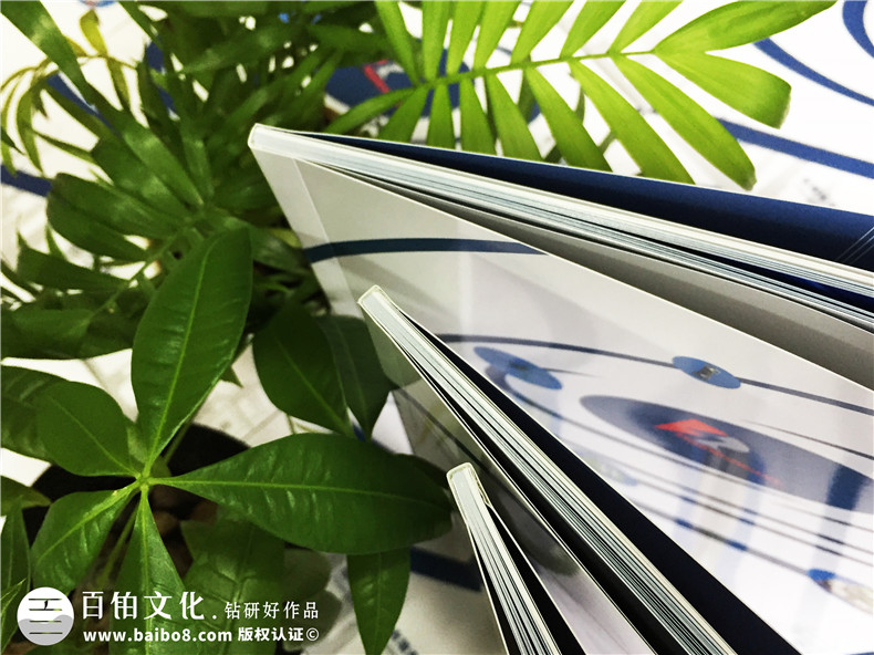 成都平面設(shè)計公司 如何選擇企業(yè)品牌推廣的設(shè)計公司？