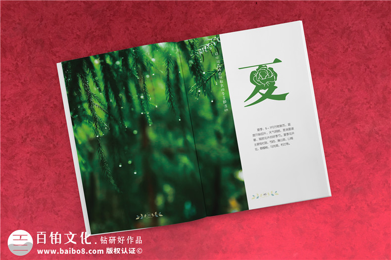 旅游企業(yè)畫冊設計的內(nèi)容分析第3張-宣傳畫冊,紀念冊設計制作-價格費用,文案模板,印刷裝訂,尺寸大小