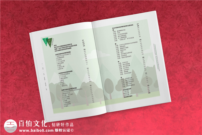 旅游行業(yè)公司宣傳冊(cè)的設(shè)計(jì)方法第2張-宣傳畫(huà)冊(cè),紀(jì)念冊(cè)設(shè)計(jì)制作-價(jià)格費(fèi)用,文案模板,印刷裝訂,尺寸大小