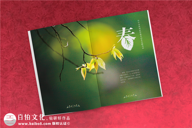 景區(qū)宣傳冊應該怎么設(shè)計第2張-宣傳畫冊,紀念冊設(shè)計制作-價格費用,文案模板,印刷裝訂,尺寸大小