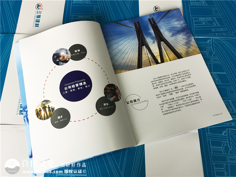 產(chǎn)品宣傳冊設計所需的圖文素材、制作材料第2張-宣傳畫冊,紀念冊設計制作-價格費用,文案模板,印刷裝訂,尺寸大小