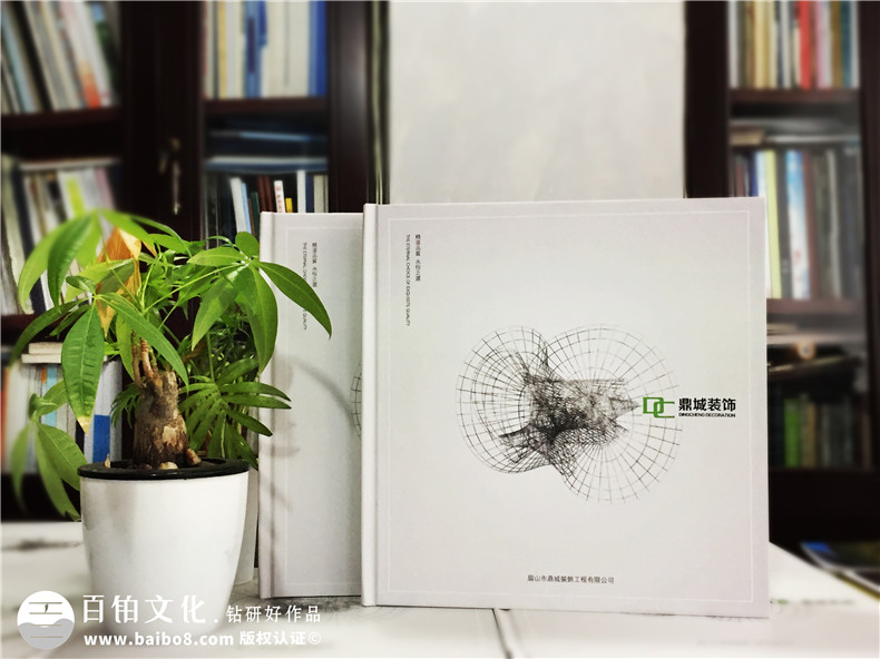 畫冊設(shè)計理念 專業(yè)的企業(yè)畫冊設(shè)計該怎么做？第1張-宣傳畫冊,紀念冊設(shè)計制作-價格費用,文案模板,印刷裝訂,尺寸大小