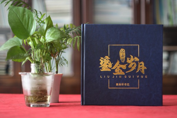 法院領(lǐng)導(dǎo)調(diào)離紀(jì)念冊(cè)設(shè)計(jì)-檢察院紀(jì)委書記在職期間工作業(yè)績(jī)回顧畫冊(cè)