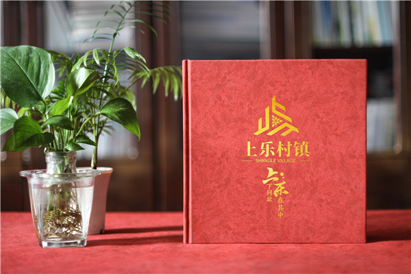 珍藏記憶，感恩同行——鎮(zhèn)領導調任紀念冊