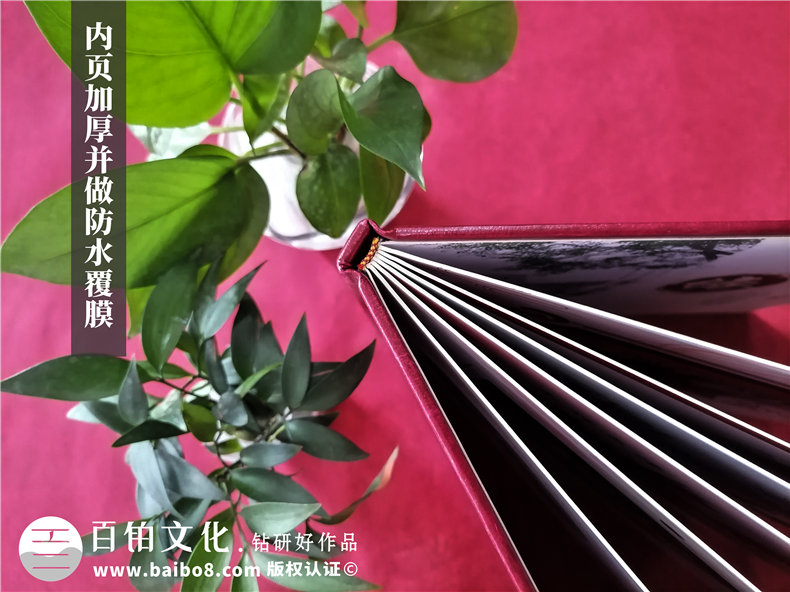 供電局女領(lǐng)導(dǎo)調(diào)動(dòng)紀(jì)念影集-發(fā)電力公司領(lǐng)導(dǎo)退休回憶畫冊(cè)怎么設(shè)計(jì)