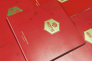 金融公司畫冊設(shè)計 金融行業(yè)宣傳冊設(shè)計要怎么做才好呢？