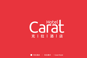 品牌設(shè)計(jì)公司的專業(yè)理念 企業(yè)品牌塑造與策劃的方法！