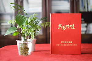 疫情紀(jì)念冊 為疫情后的醫(yī)療隊志愿者制作紀(jì)念冊 紀(jì)念不平凡！