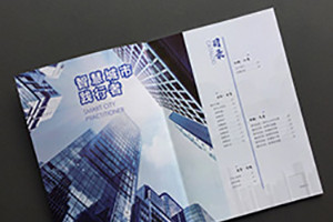 一本優(yōu)秀畫冊設計的板塊和版式設計