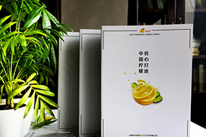 水果店鋪宣傳冊(cè)設(shè)計(jì)的必備技巧 讓水果說(shuō)話(huà)的制作方法