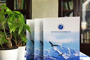 企業(yè)宣傳冊設(shè)計(jì)的兩大設(shè)計(jì)方向 找到企業(yè)宣傳冊設(shè)計(jì)的正確方法！