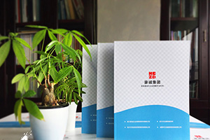 企業(yè)畫冊設(shè)計怎么做？畫冊制作的通用方法思考