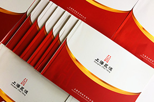 金融企業(yè)畫冊設(shè)計 金融行業(yè)宣傳冊設(shè)計要怎么做的設(shè)計方法！
