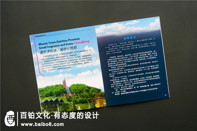 政府畫(huà)冊(cè)怎么設(shè)計(jì)
