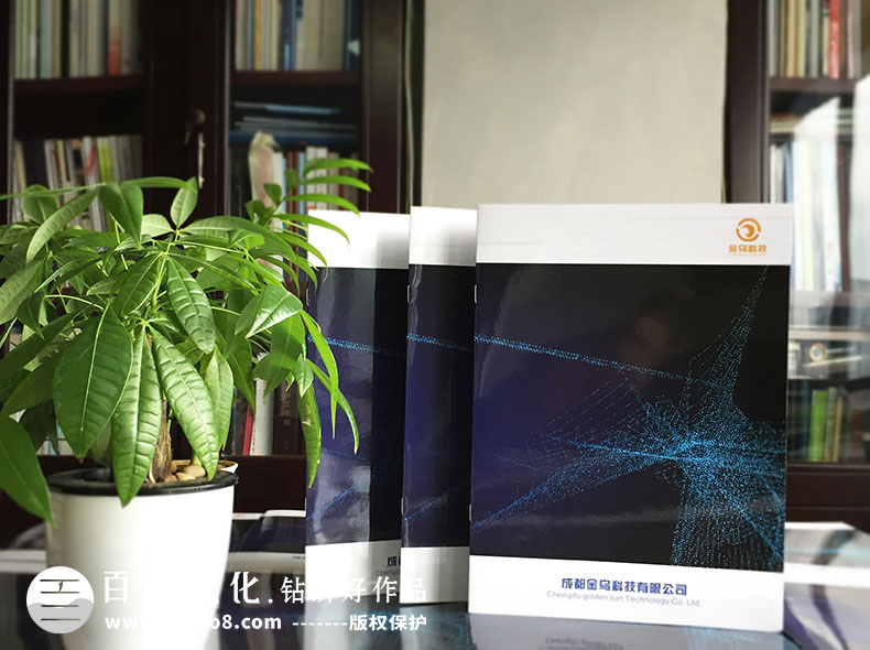企業(yè)畫冊的內容目錄